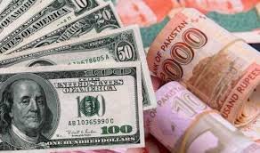 Steady Loans provide You with Freedom to Learn